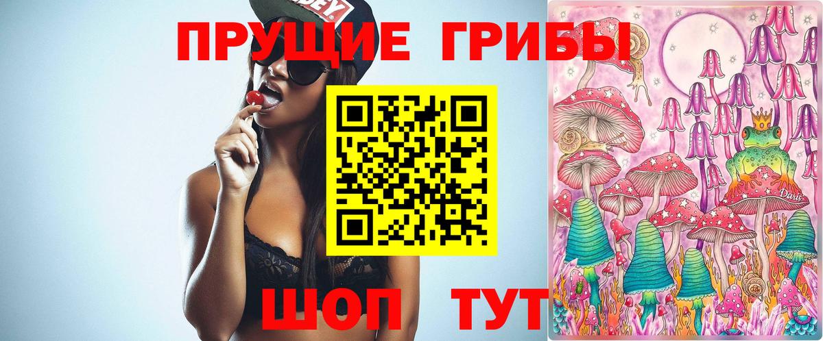 Галлюциногенные грибы прущие грибы Лабытнанги
