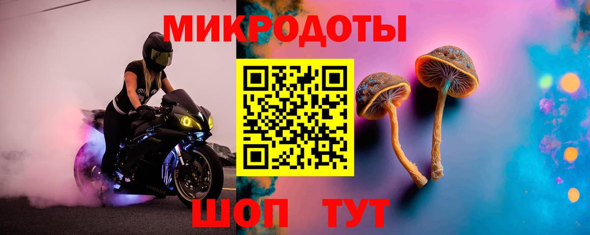 Псилоцибиновые грибы MAGIC MUSHROOMS  Вход с VPN  Лабытнанги  Галлюциногенные грибы Psilocybine cubensis 
